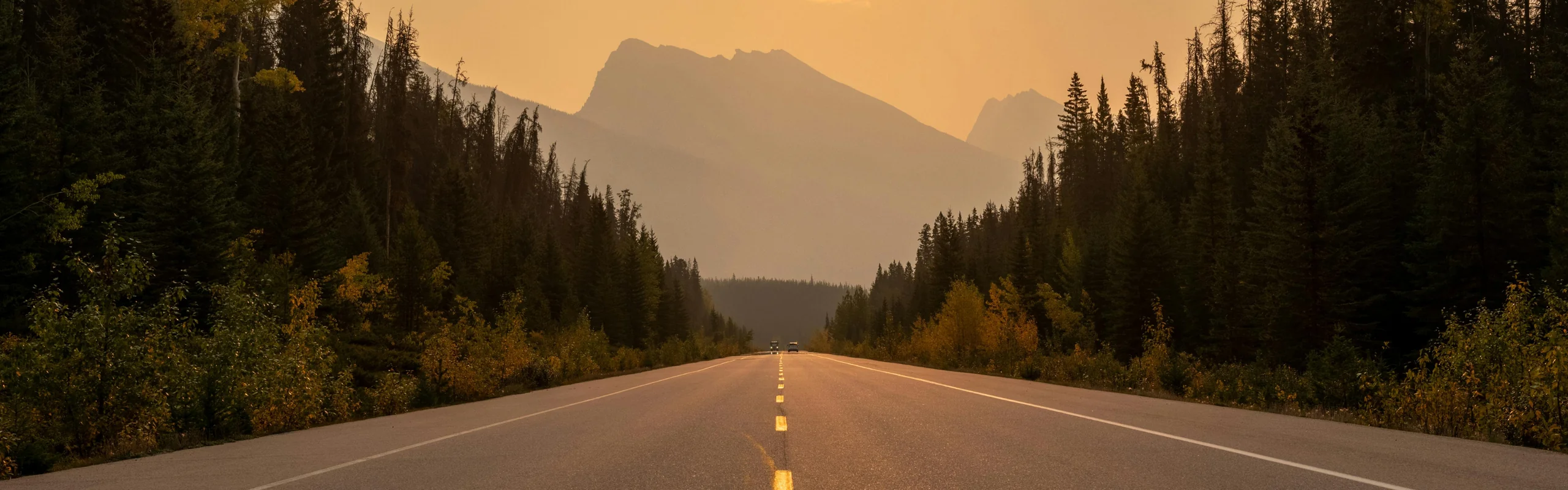 Rugged Gear for Every Journey
